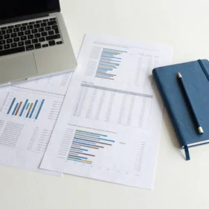 Analyst Portfolio Review